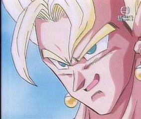 vegetto2.jpg (13118 bytes)